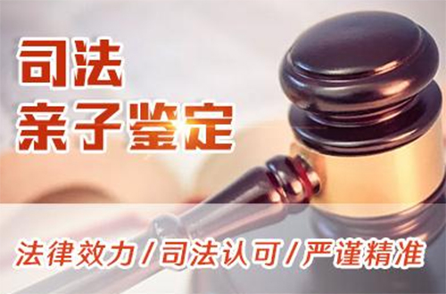 陕西省司法亲子鉴定需要如何做,陕西省司法亲子鉴定哪里做的准